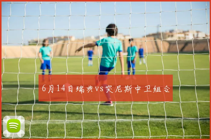 6月14日瑞典vs突尼斯中卫组合
