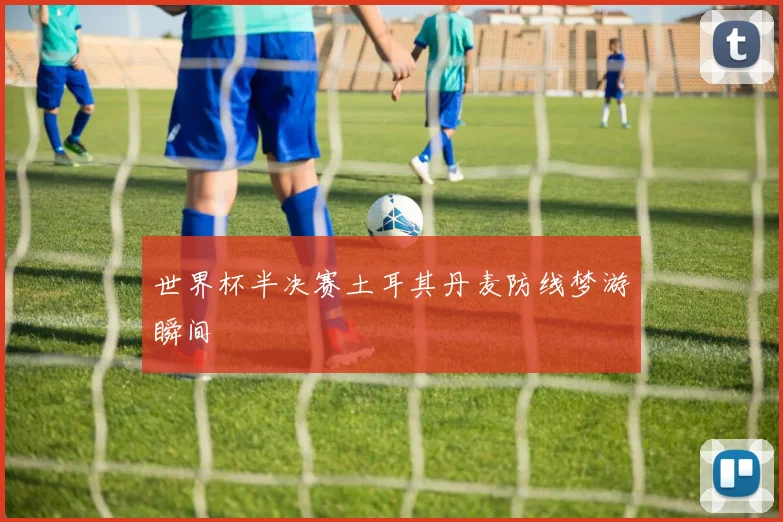 世界杯半决赛土耳其丹麦防线梦游瞬间