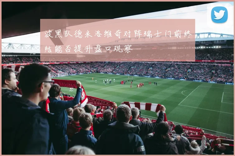 波黑队德米洛维奇对阵瑞士门前终结能否提升盘口观察