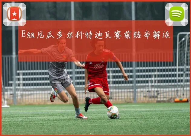 E组厄瓜多尔科特迪瓦赛前赔率解读