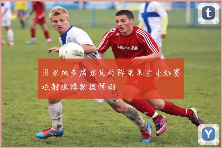 贝尔纳多席尔瓦对阵刚果金小组赛远射选择数据预测